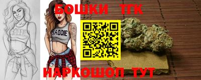 тгк Новокубанск