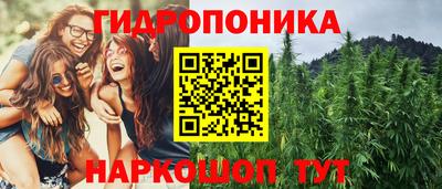 амф Новозыбков