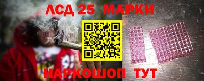 амф Новозыбков