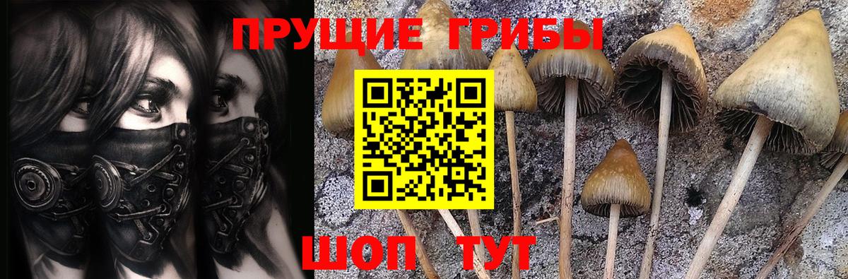 Можайск  Галлюциногенные грибы прущие грибы  Вход с VPN 